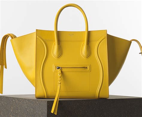 celine constance bag|celine shoes.